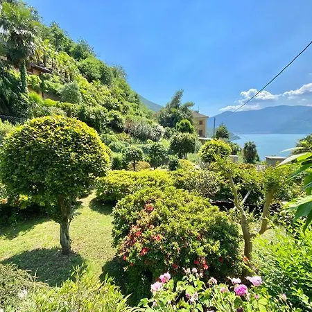 Casa L'arbi * Pino Lago Maggiore